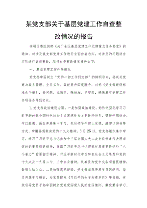 某党支部关于基层党建工作自查整改情况的报告.docx