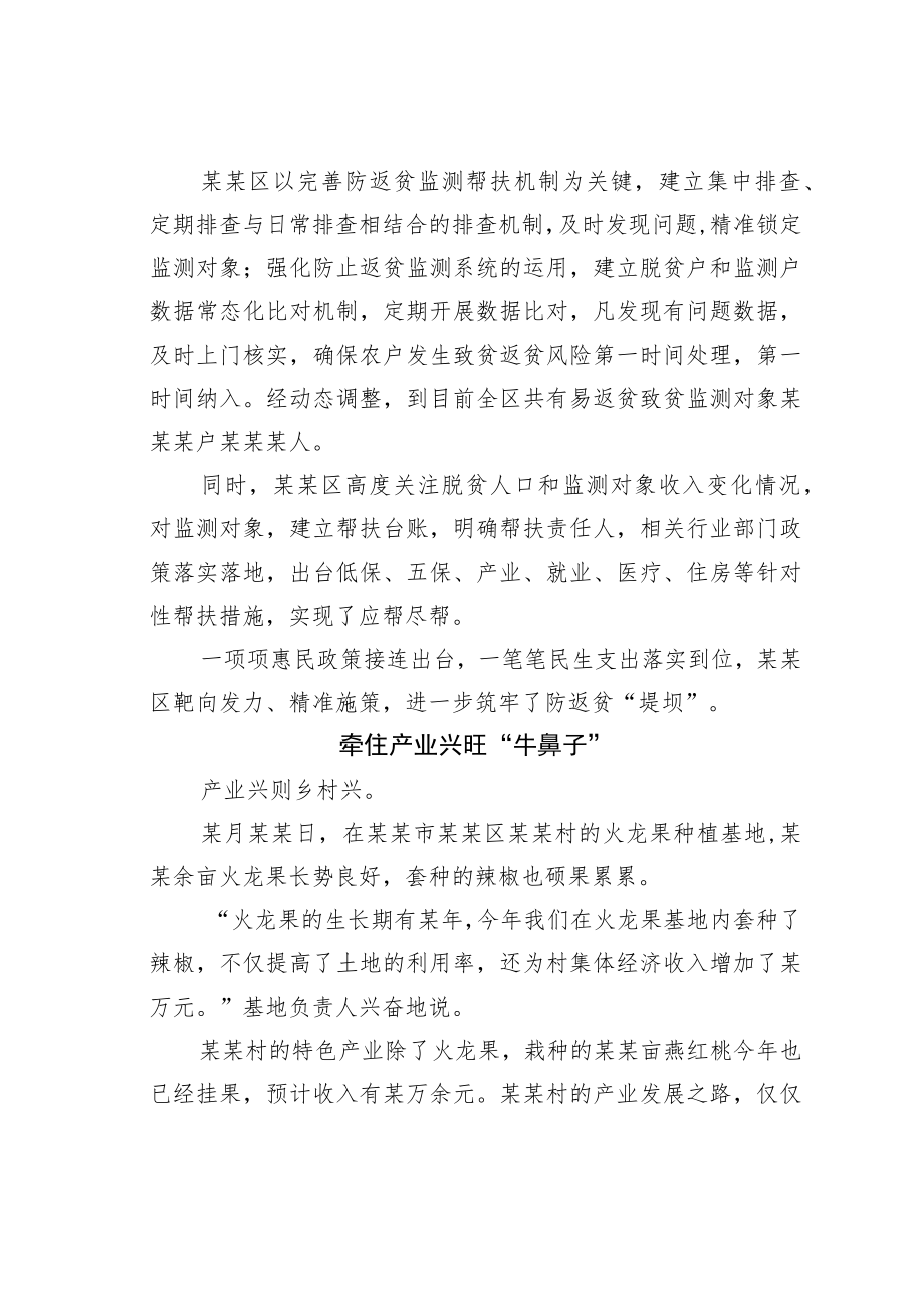 某某区全面推进乡村振兴工作综述.docx_第2页