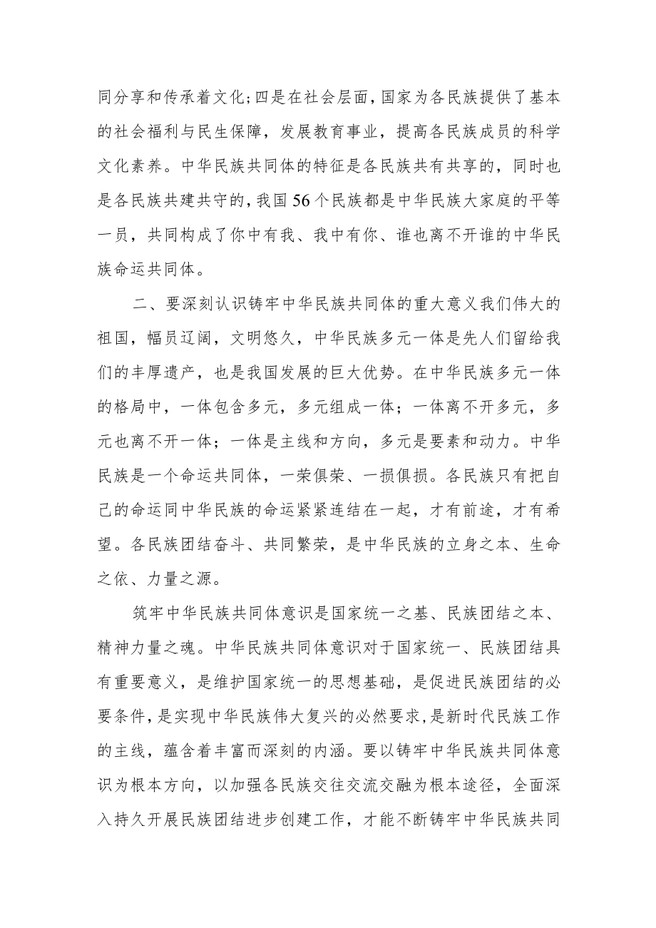 某政府办党员干部铸牢中华民族共同体意识研讨发言.docx_第2页