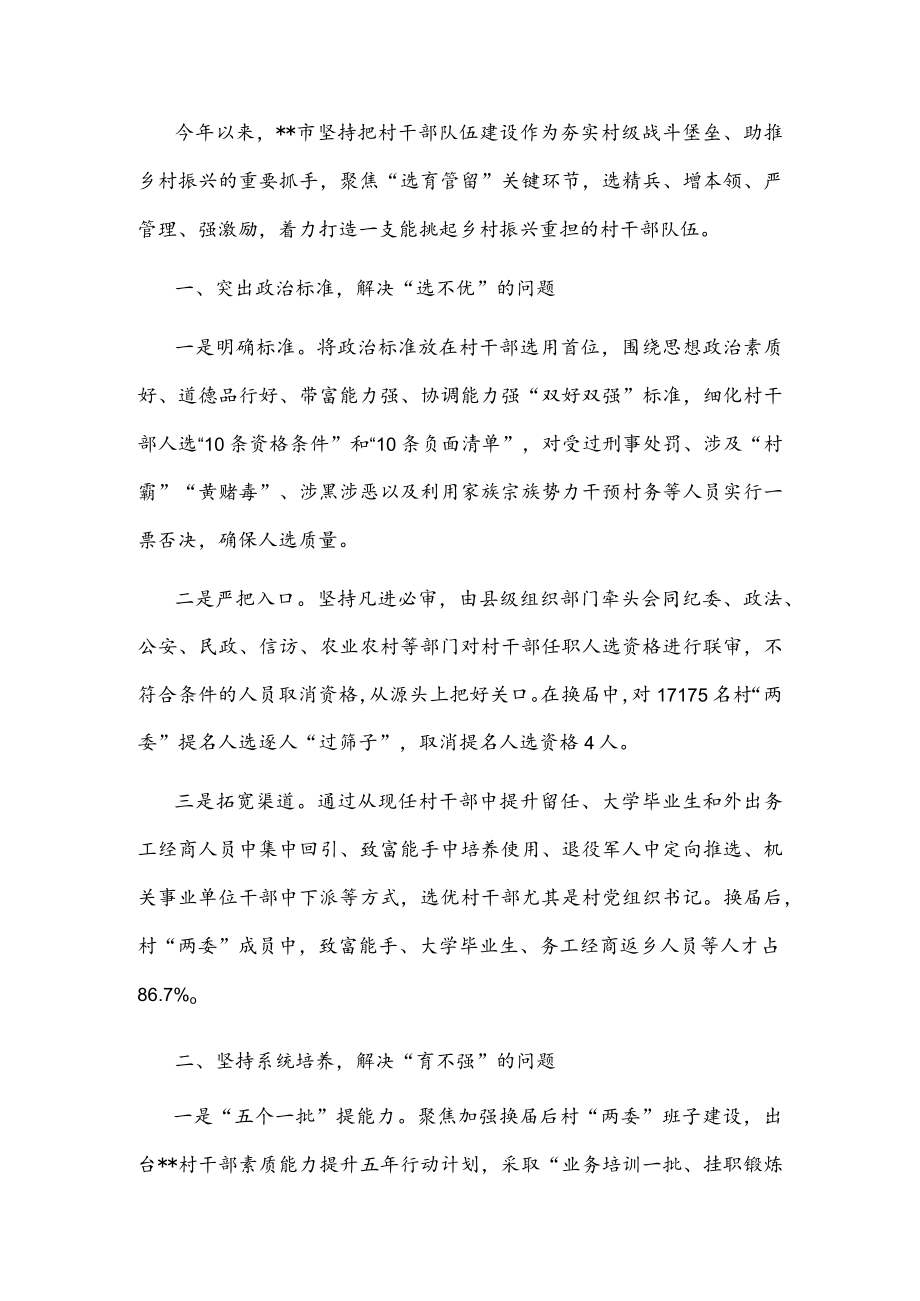 村干部队伍建设交流发言材料.docx_第1页