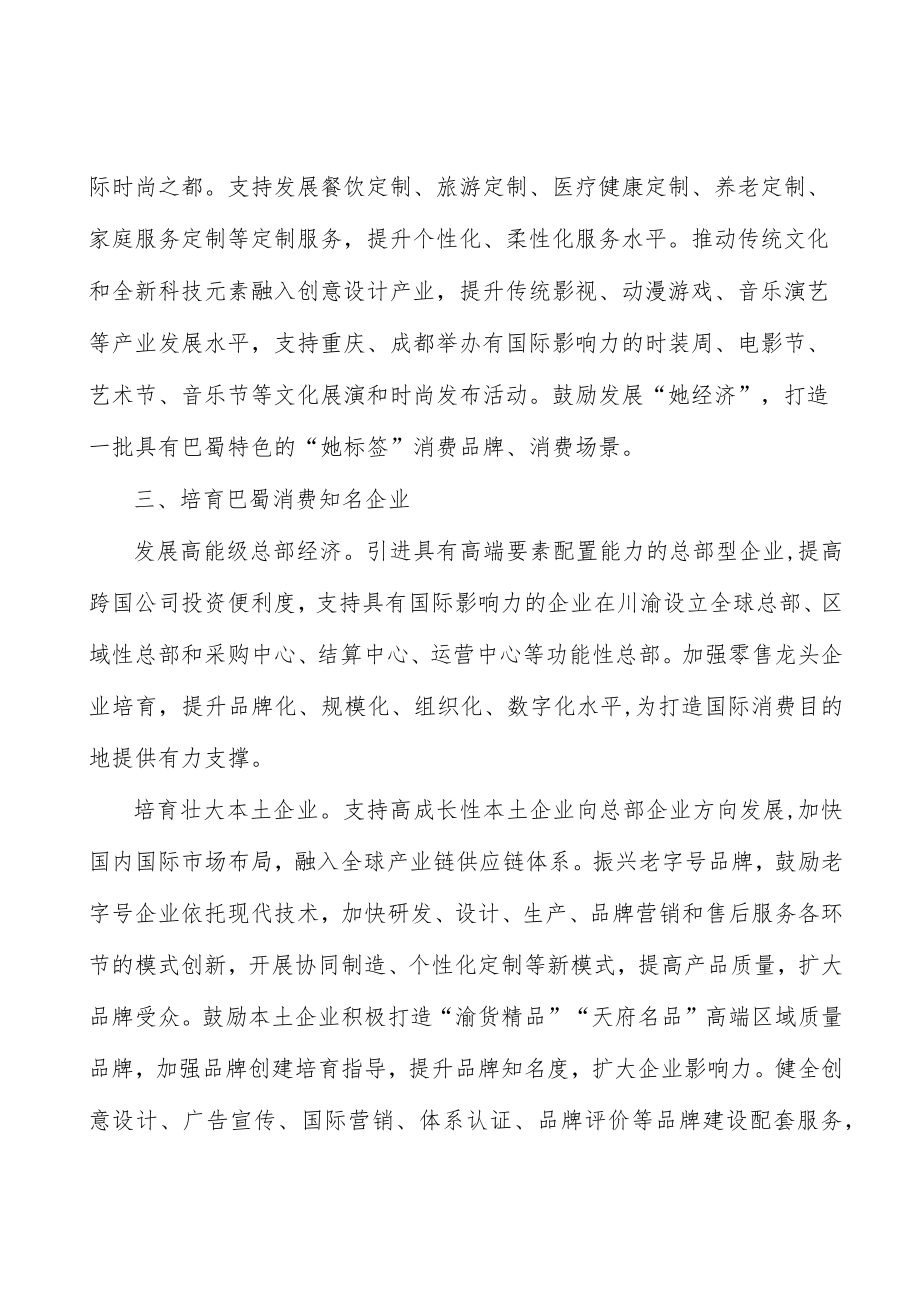 打造特色消费集聚区行动计划.docx_第3页