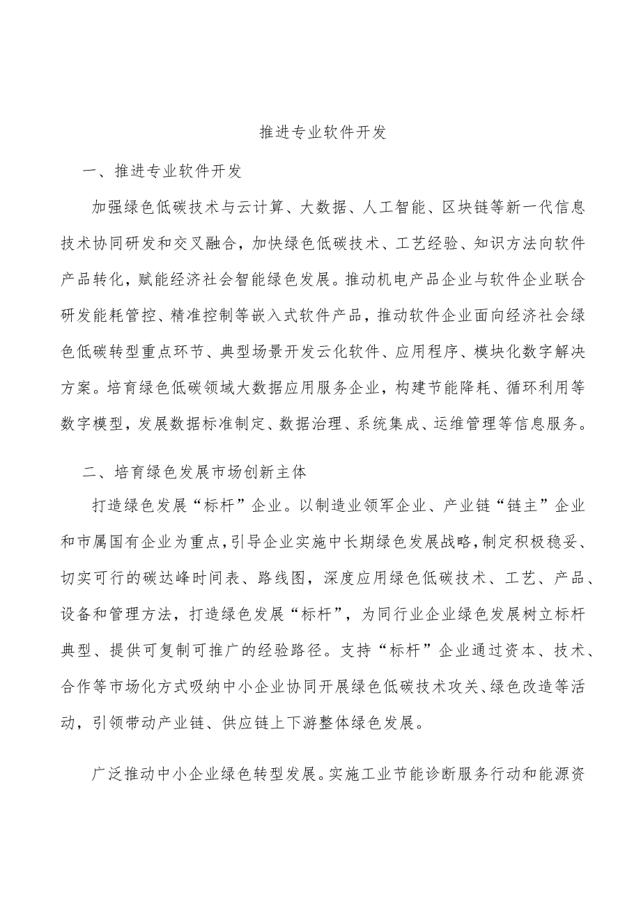 推进专业软件开发.docx_第1页