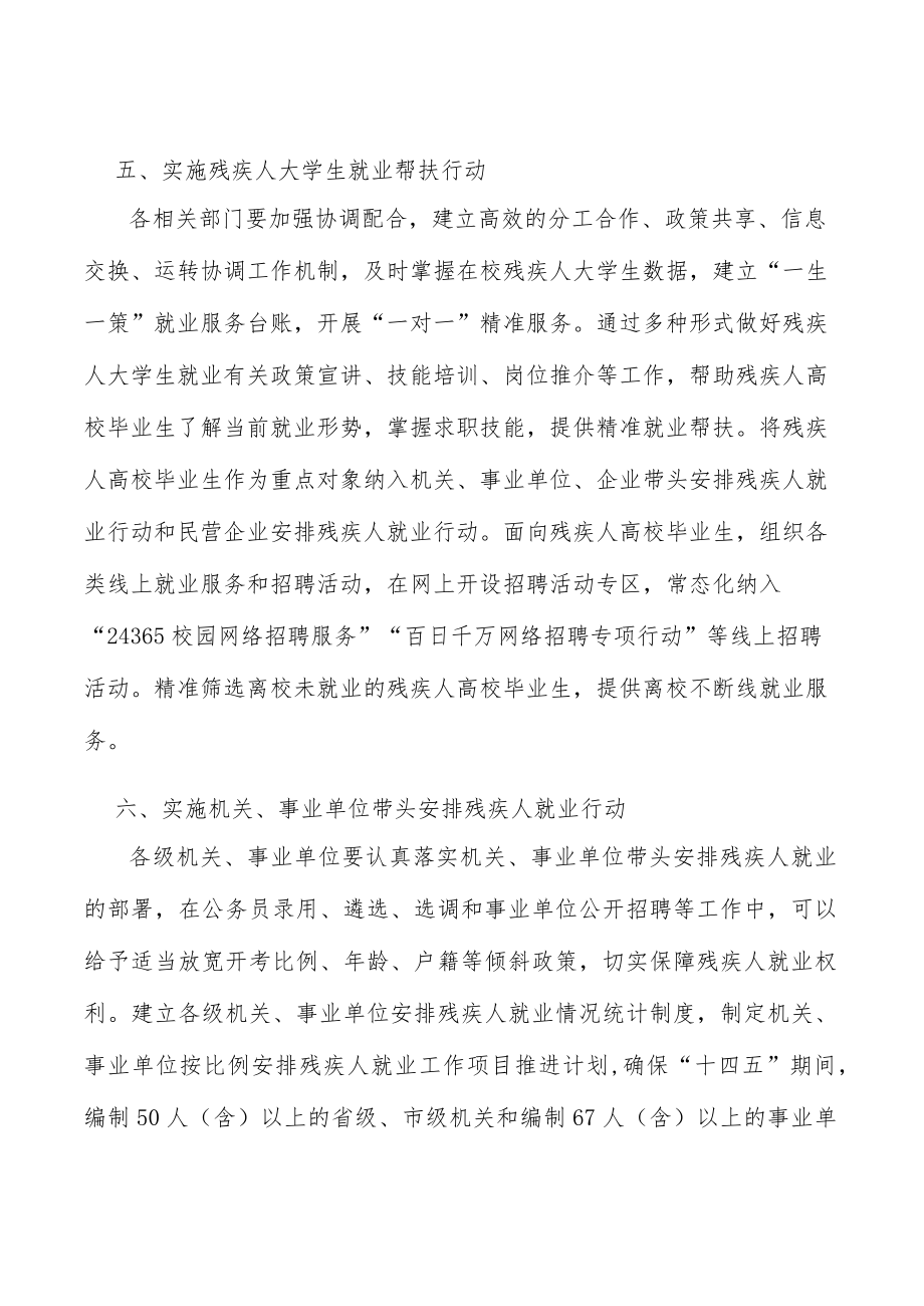 强化残疾人就业信息支撑实施方案.docx_第3页