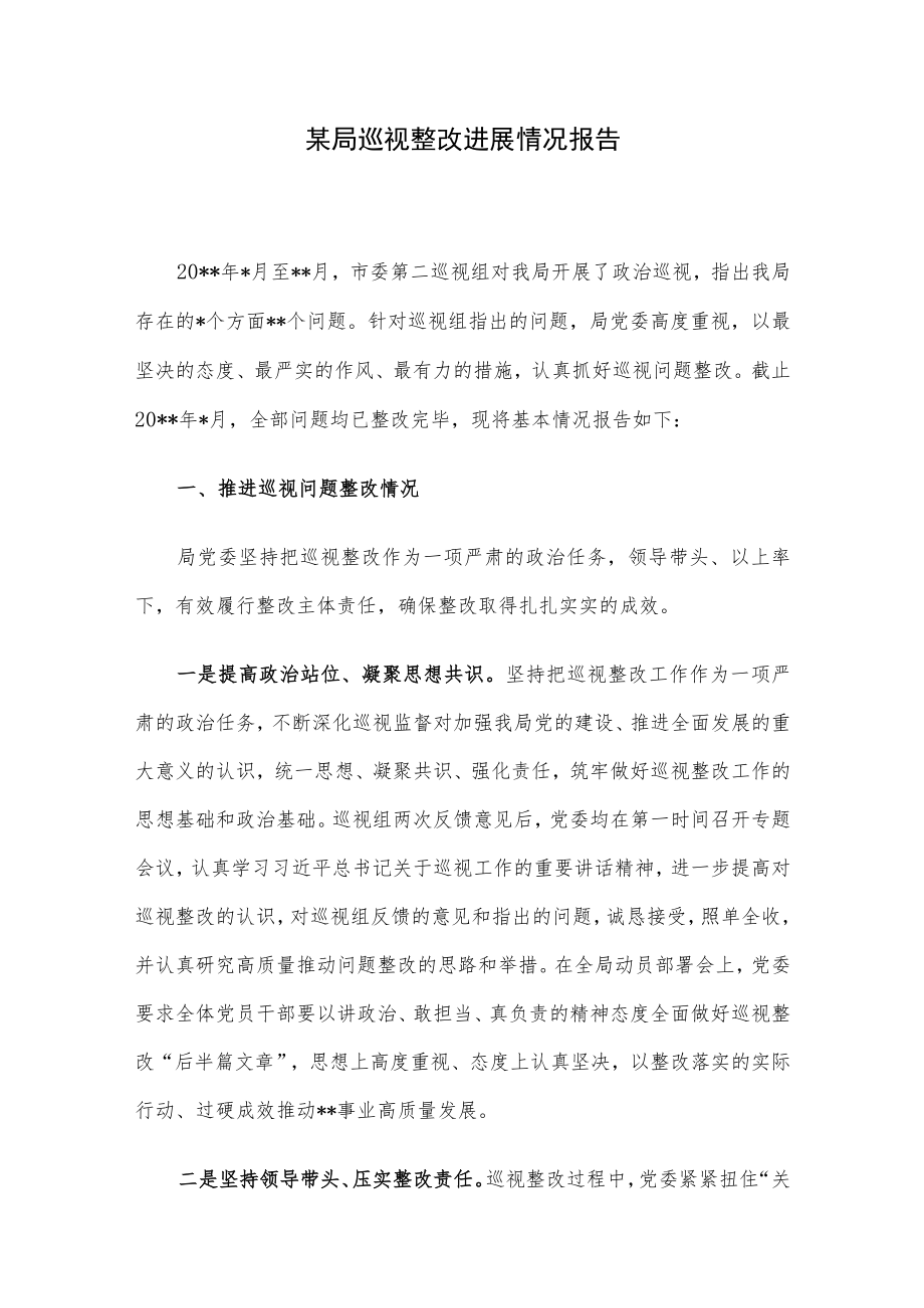 某局巡视整改进展情况报告.docx_第1页