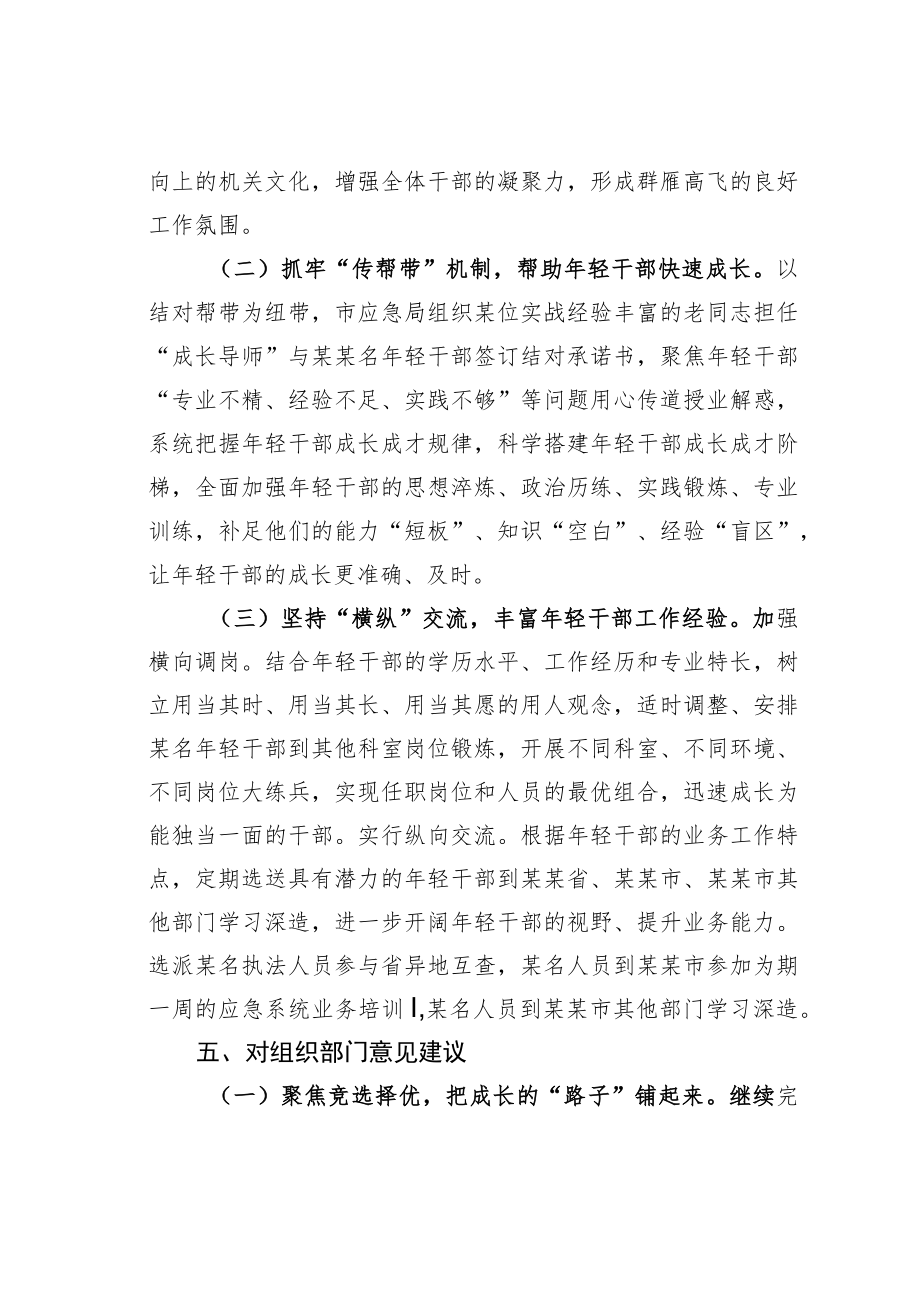 某某市应急管理局年轻干部专题调研活动工作总结.docx_第3页