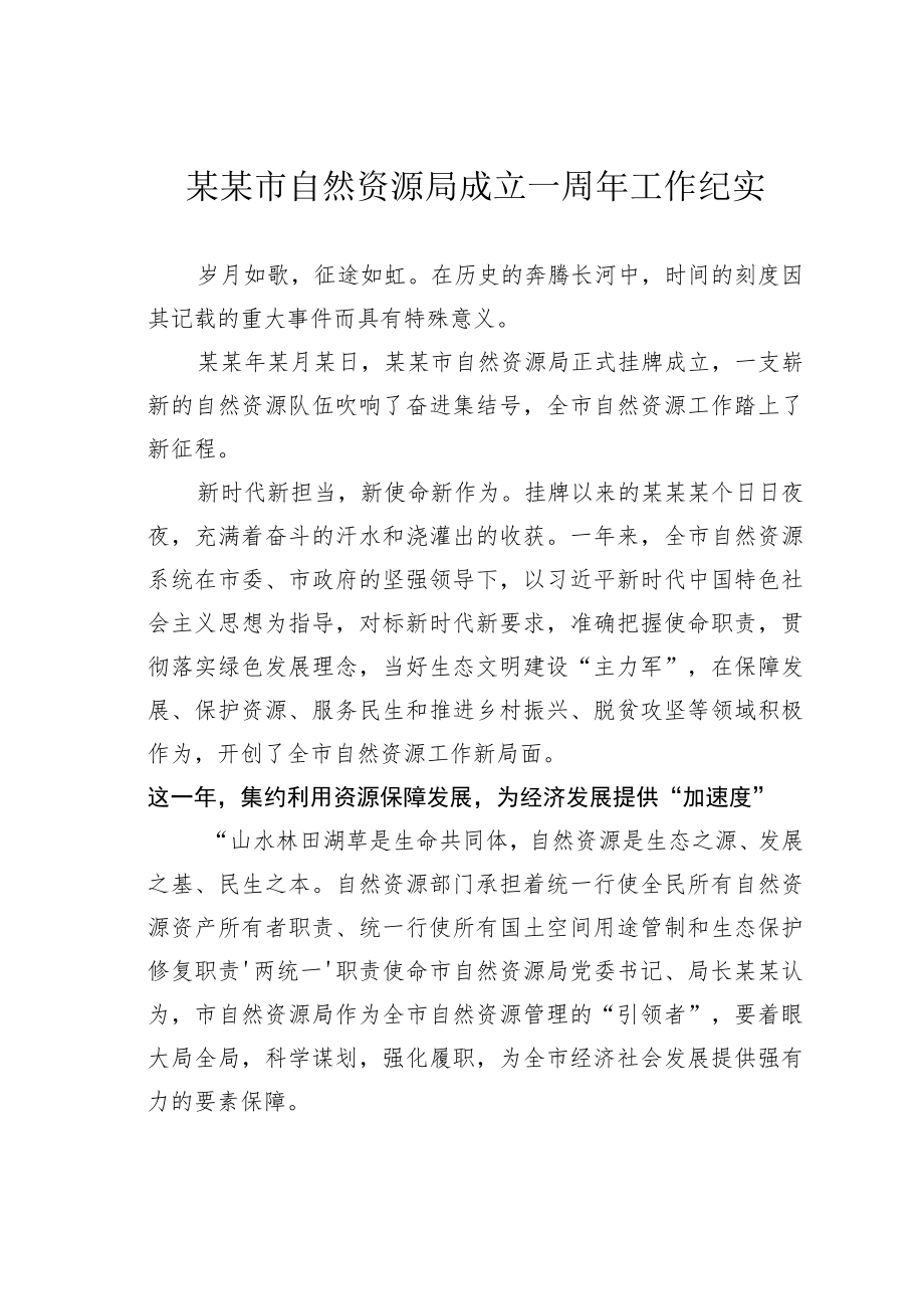 某某市自然资源局成立一周年工作纪实.docx_第1页