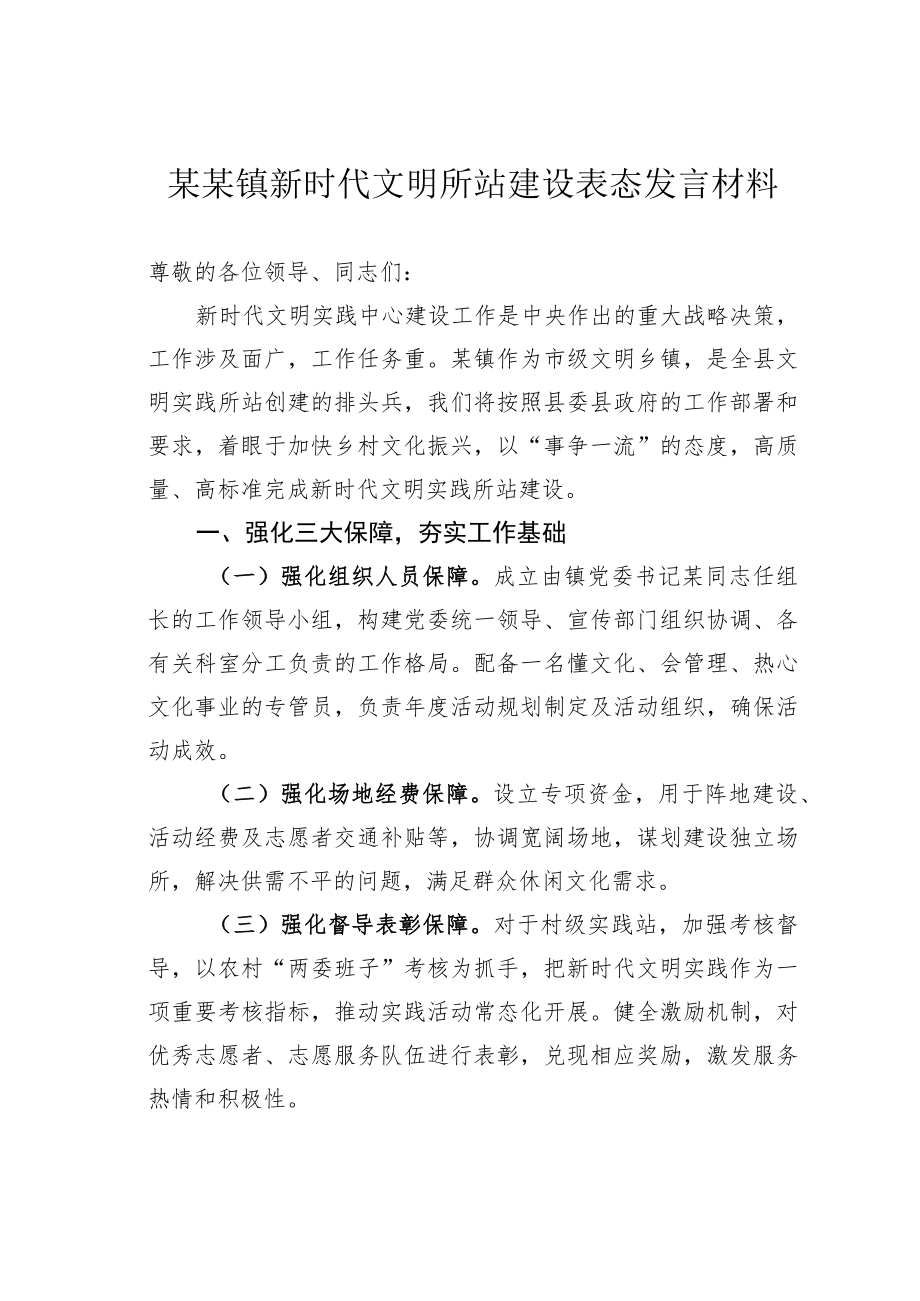 某某镇新时代文明所站建设表态发言材料.docx_第1页