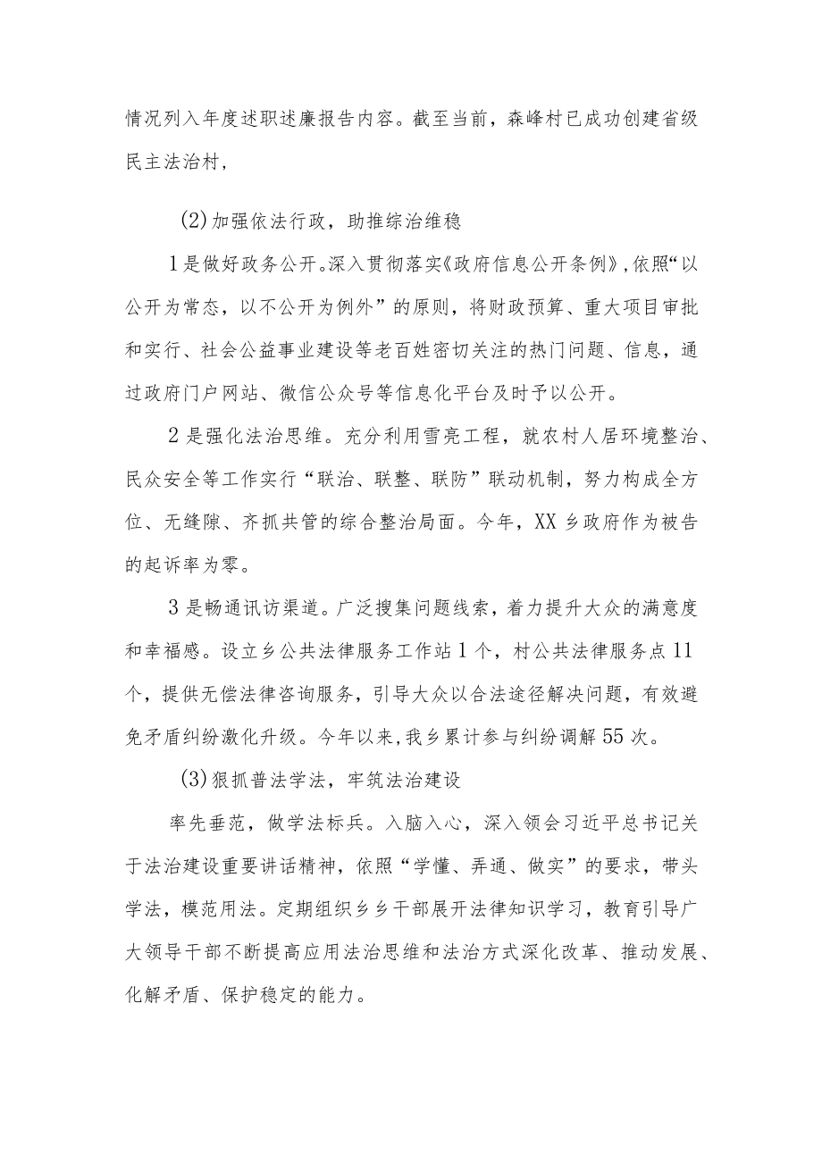 XX乡党委书记就推进法治建设第一责任人职责述职报告.docx_第2页