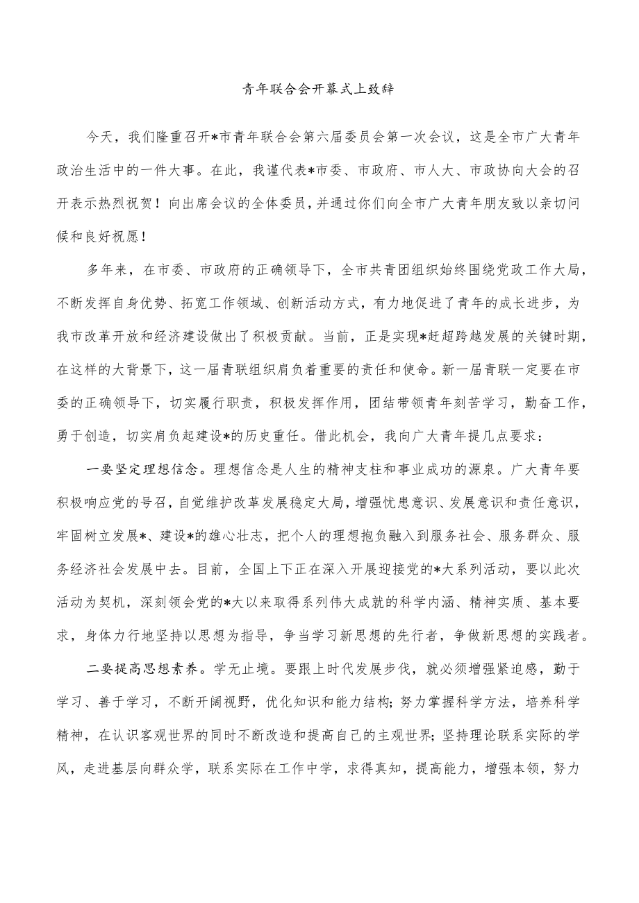 青年联合会开幕式上致辞.docx_第1页