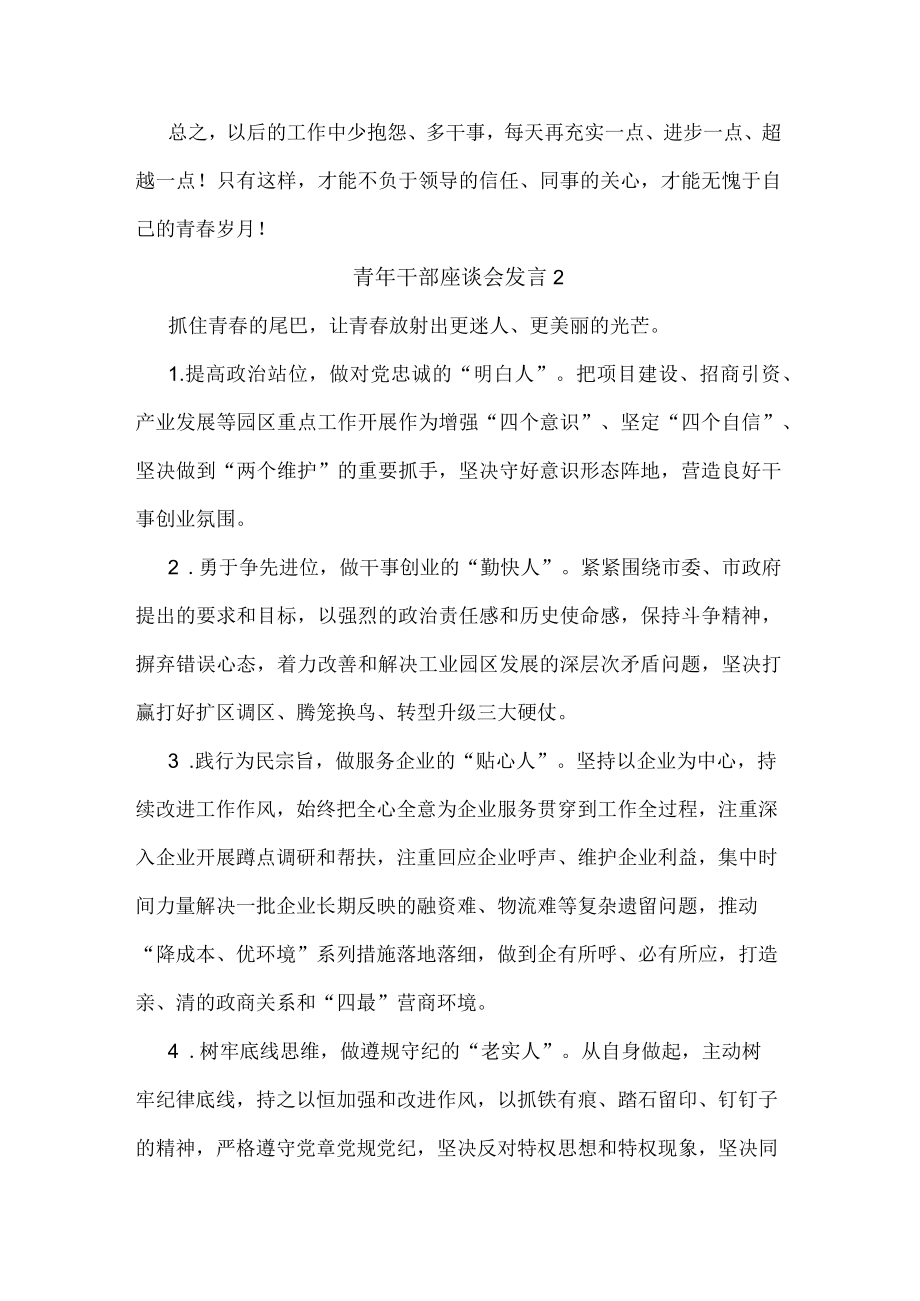 青年干部座谈会发言汇编（10篇）.docx_第2页