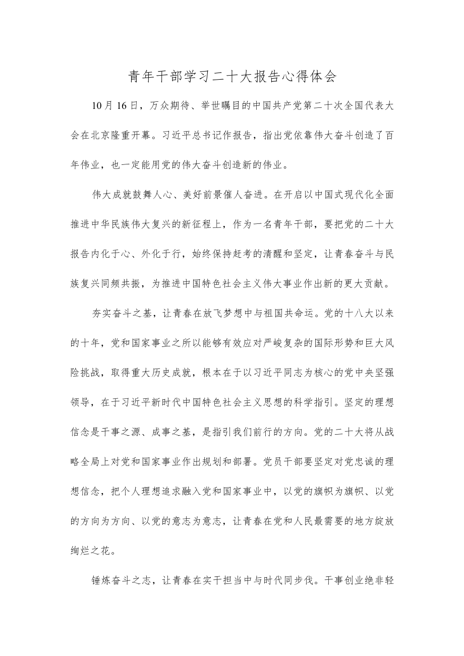 青年干部学习二十大报告心得体会.docx_第1页