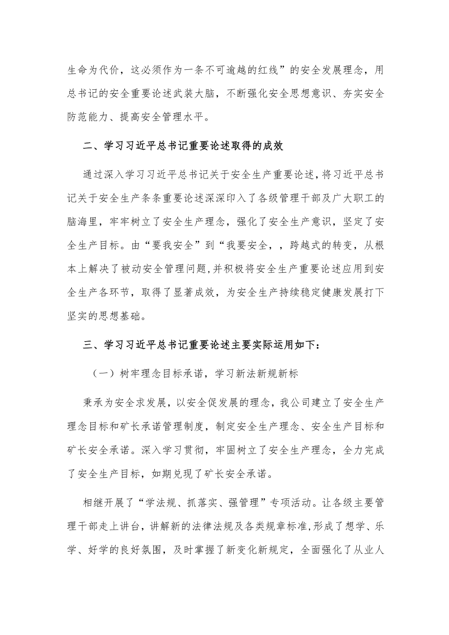 煤业公司安全生产专项整顿三年行动工作总结.docx_第2页