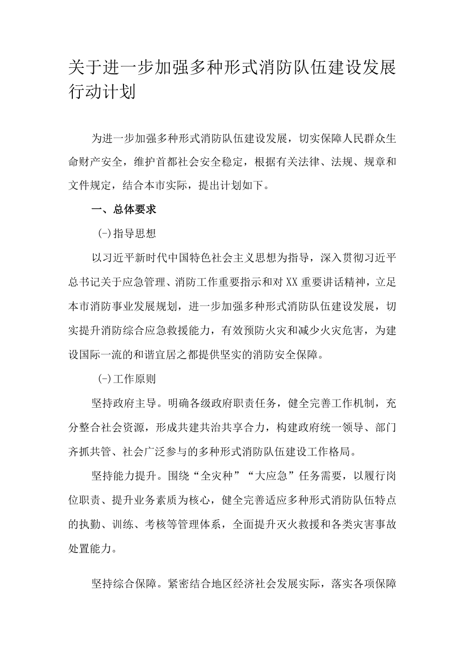 关于进一步加强多种形式消防队伍建设发展行动计划.docx_第1页