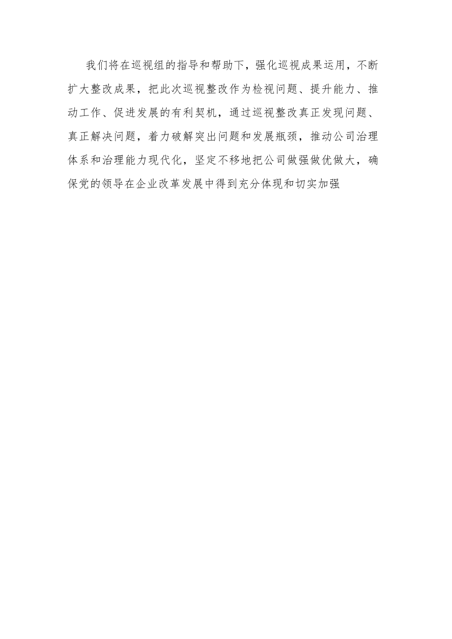 在巡视工作动员会议上的表态发言.docx_第3页