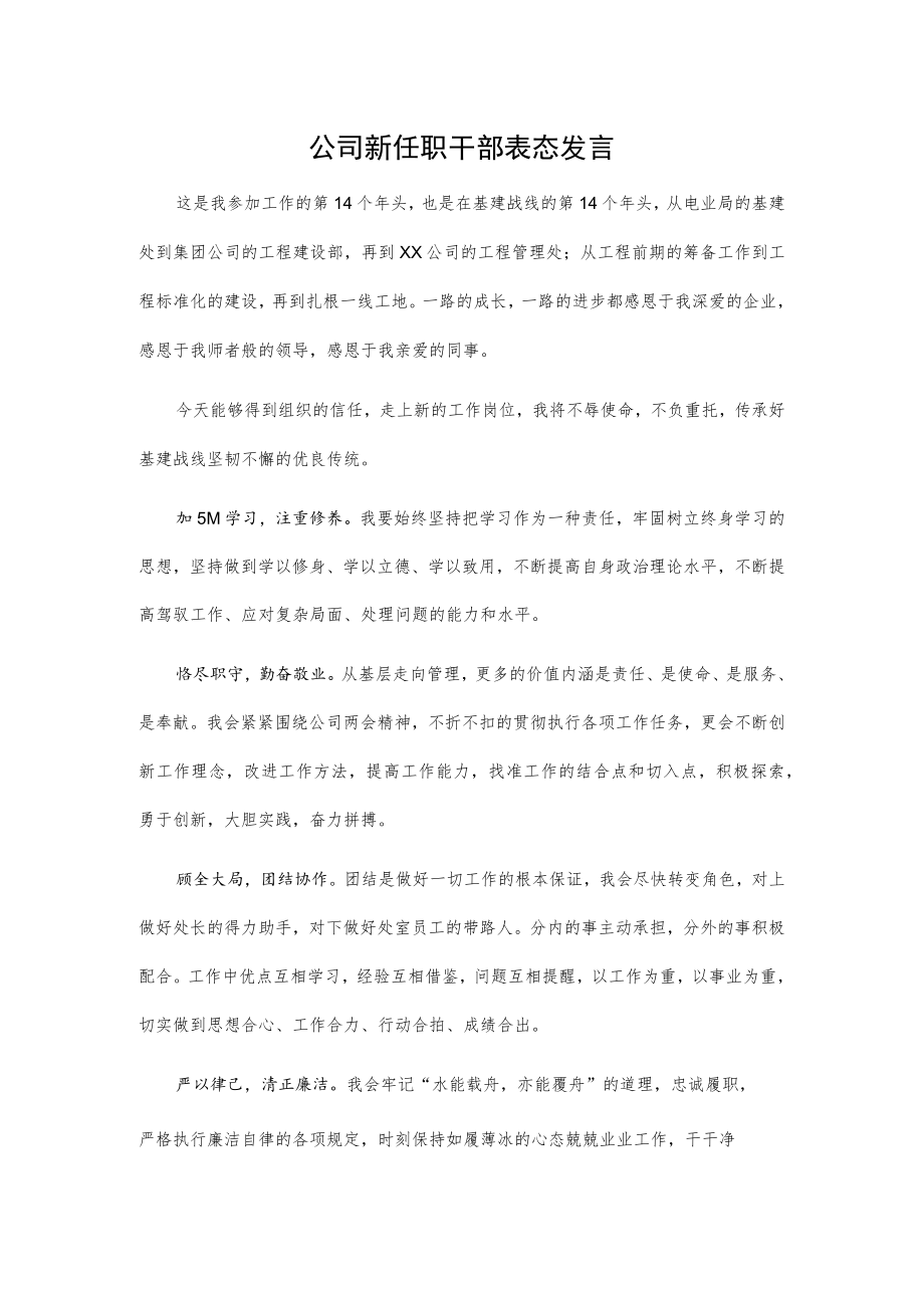 公司新任职干部表态发言.docx_第1页