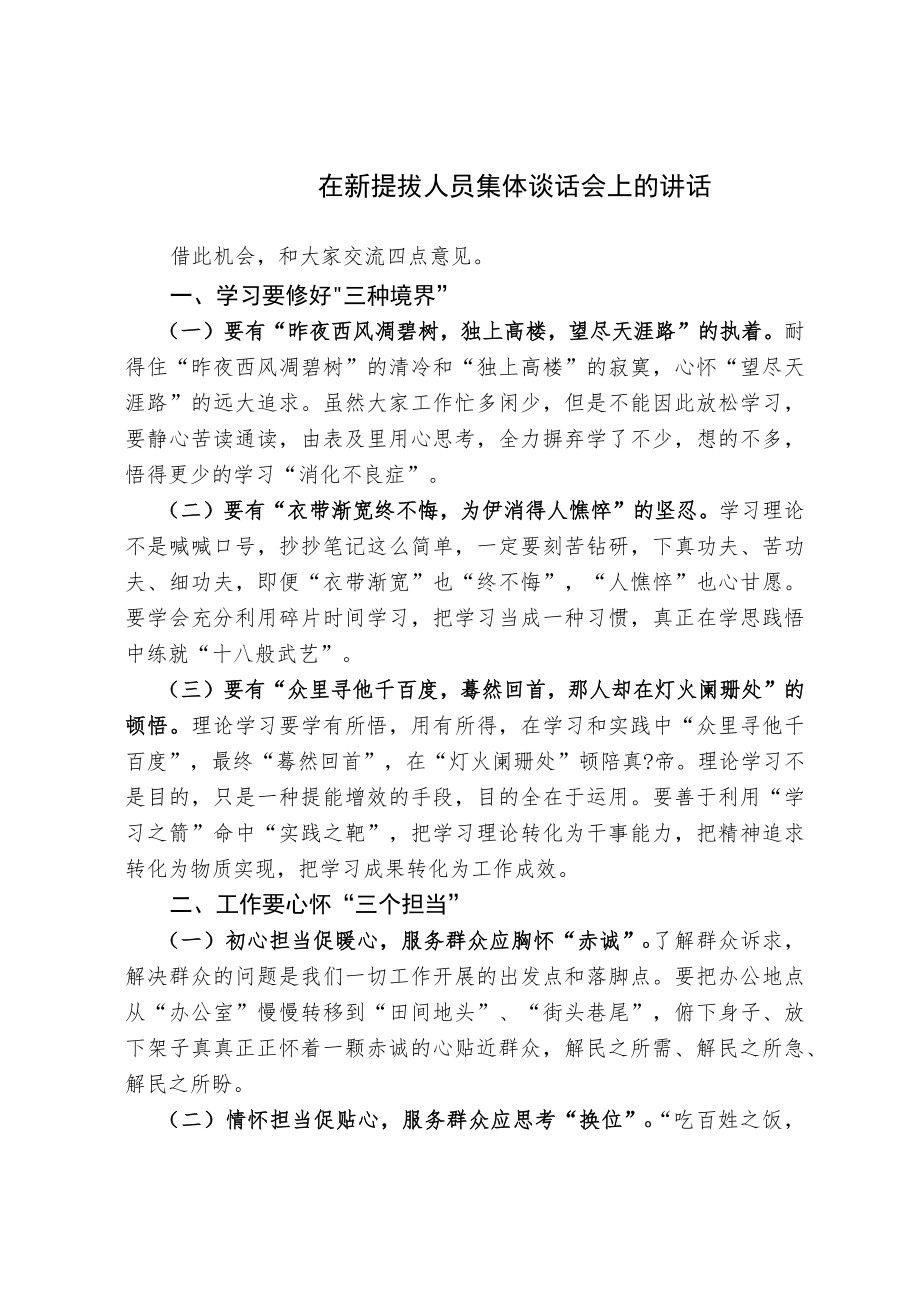 在新提拔人员集体谈话会上的讲话.docx_第1页