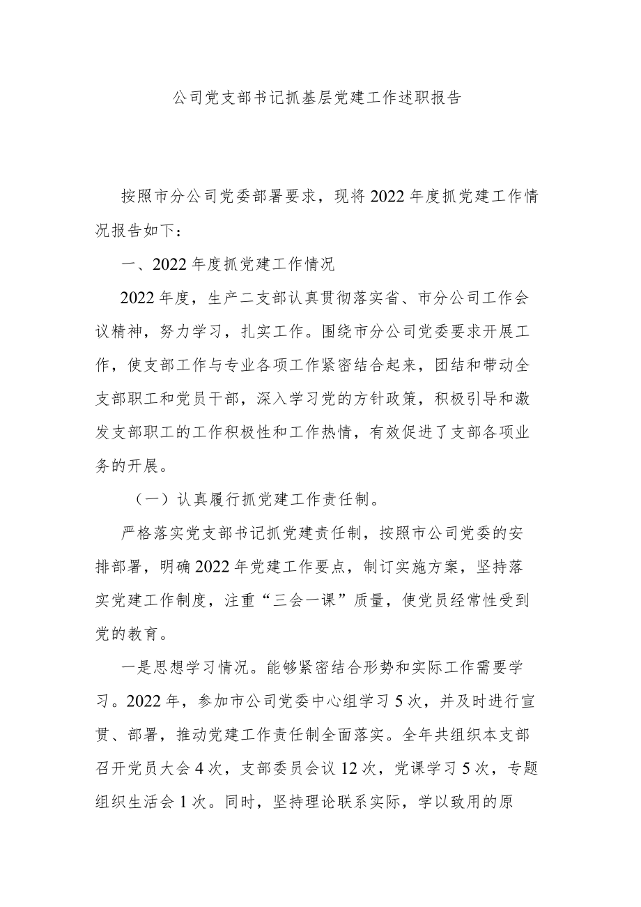 公司党支部书记抓基层党建工作述职报告.docx_第1页