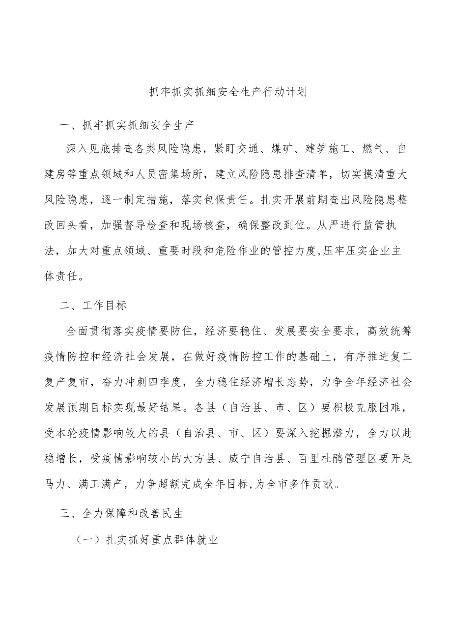 抓牢抓实抓细安全生产行动计划.docx_第1页