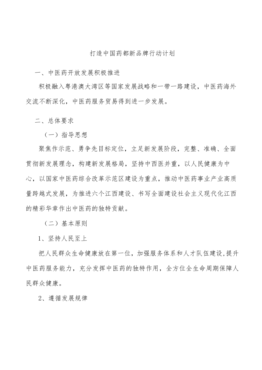 打造中国药都新品牌行动计划.docx_第1页