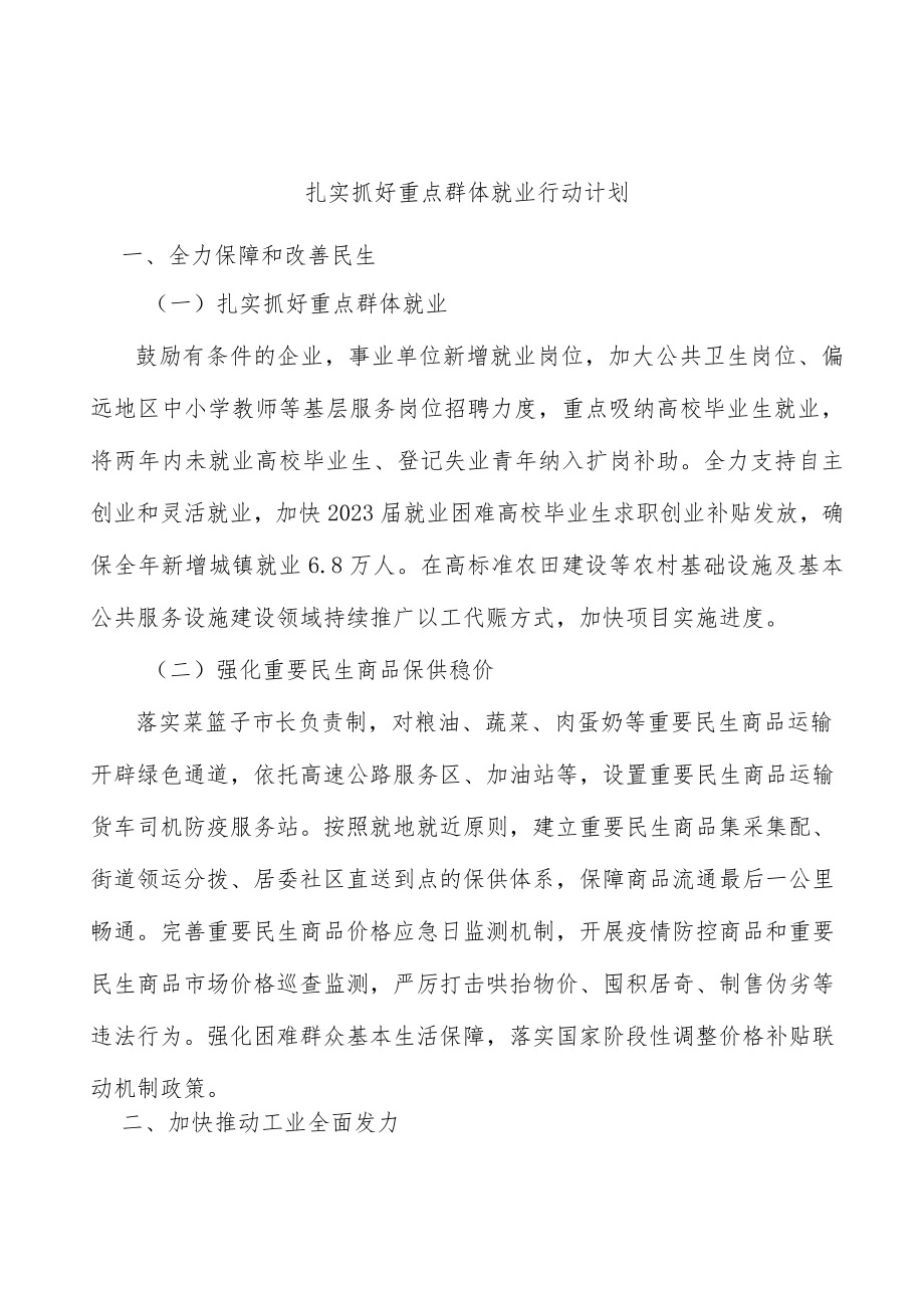 扎实抓好重点群体就业行动计划.docx_第1页