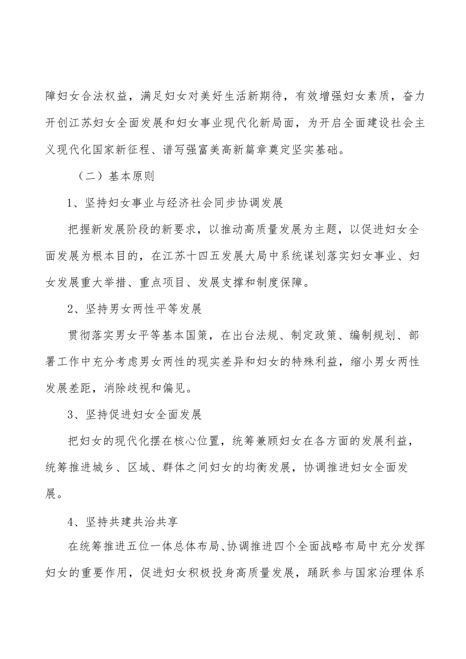 坚持妇女发展上下协同推进行动计划.docx_第2页