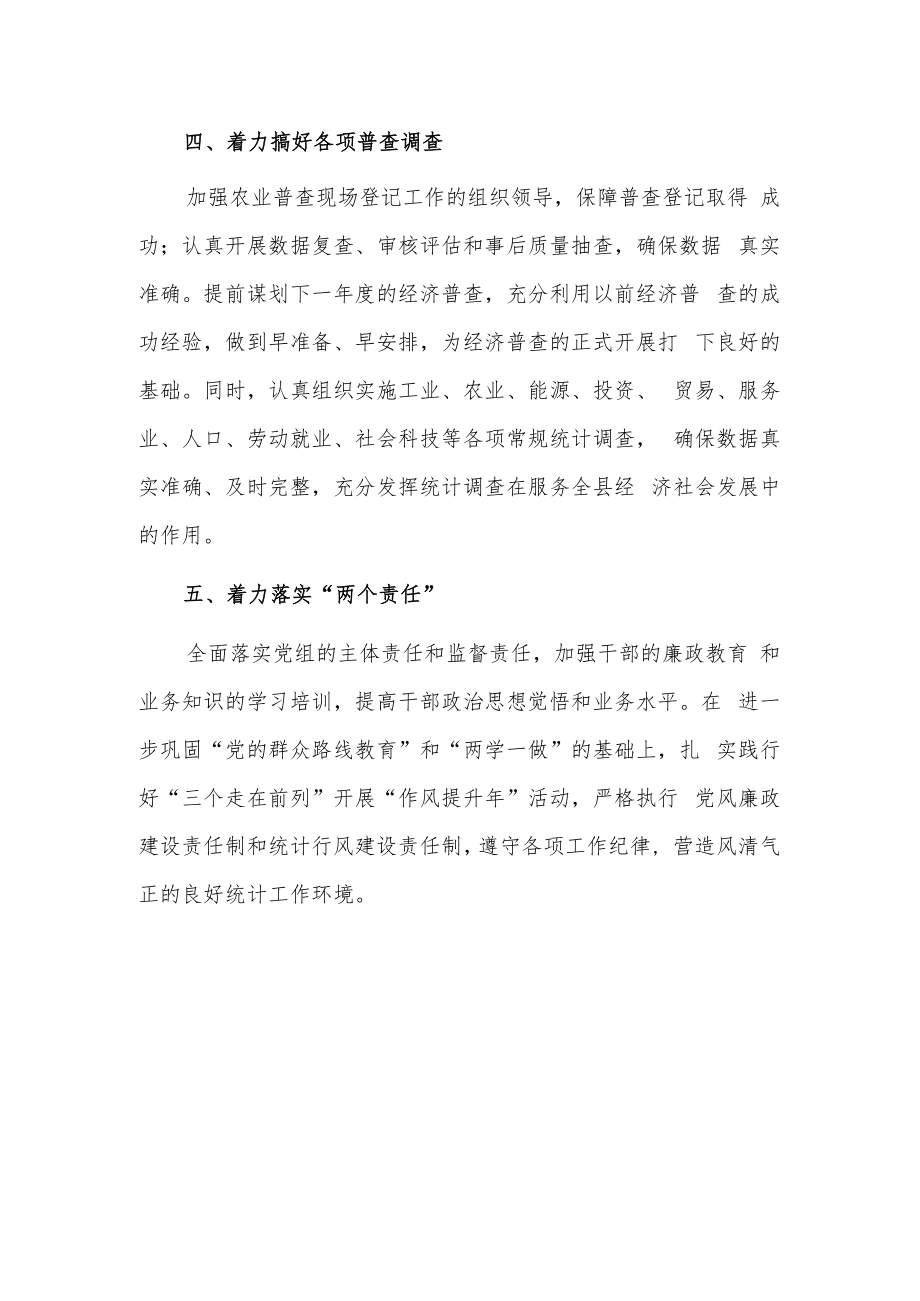 统计工作经验材料.docx_第2页