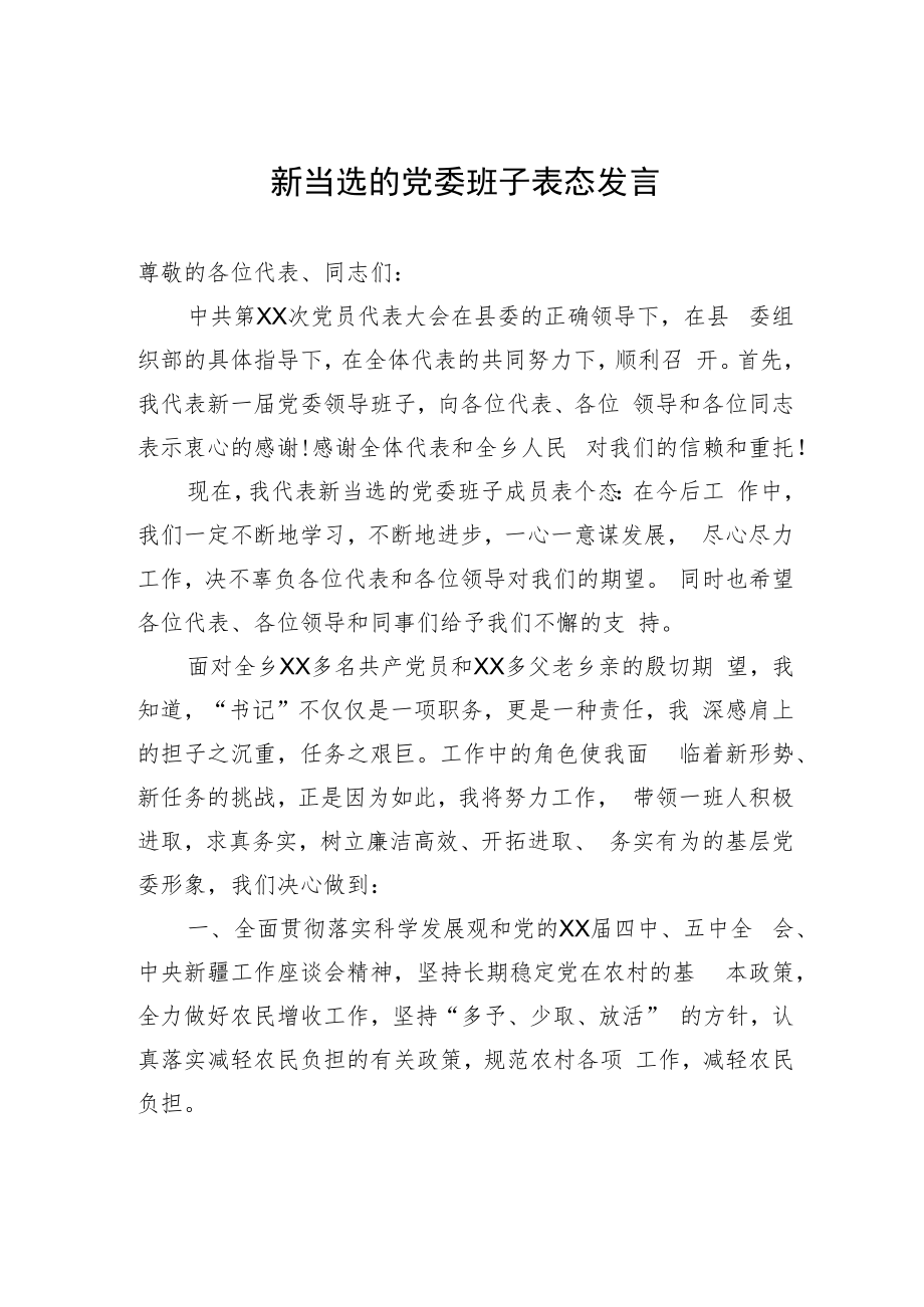 新当选的党委班子表态发言.docx_第1页