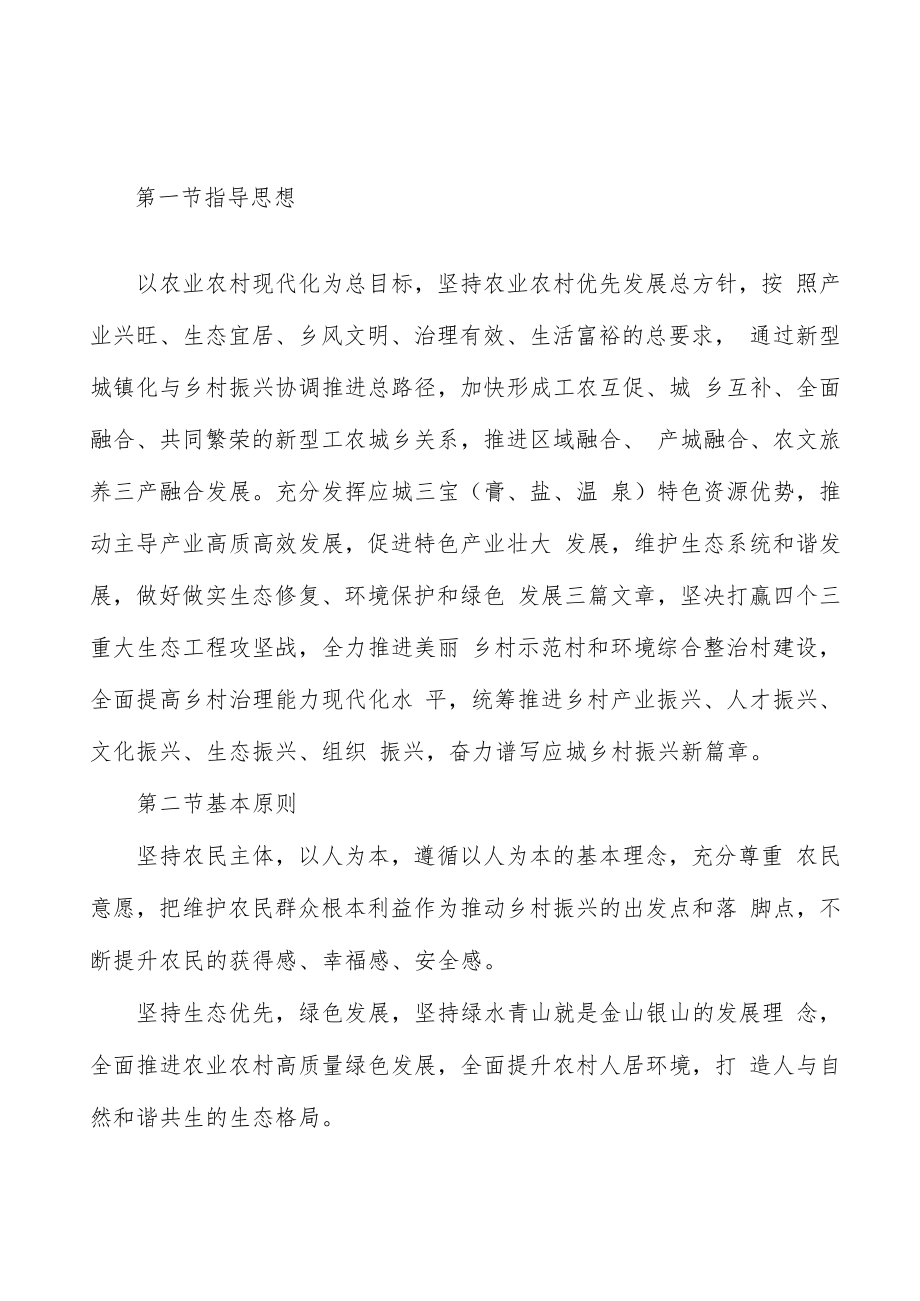 注重乡村振兴规划引领行动计划.docx_第2页