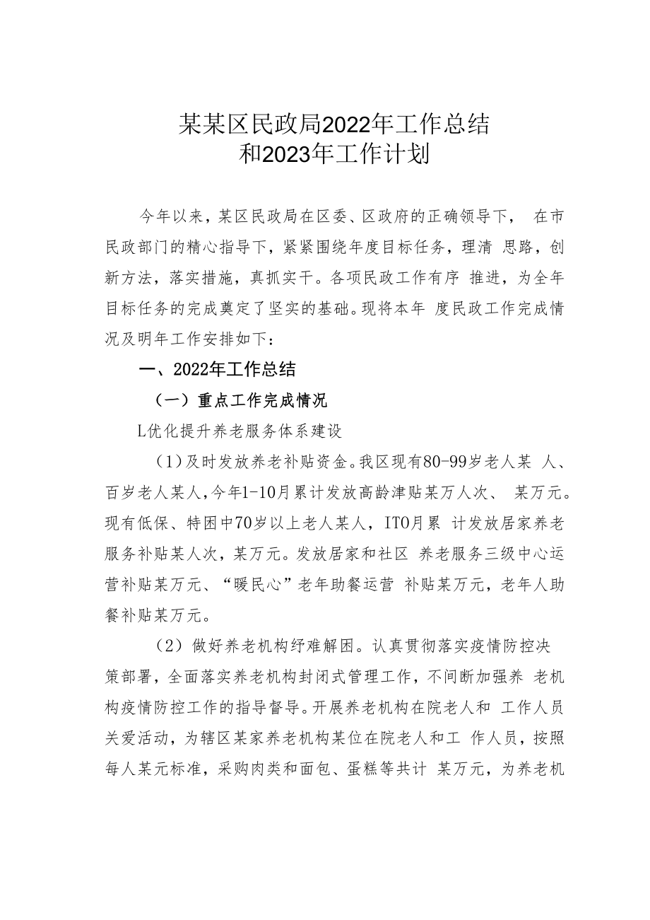 某某区民政局2022年工作总结和2023年工作计划.docx_第1页