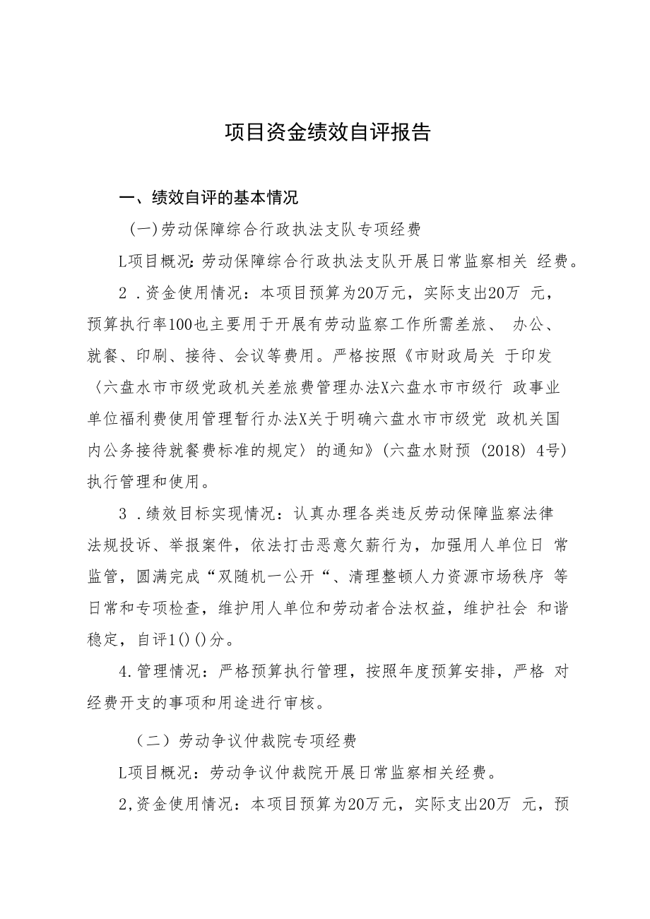 项目资金绩效自评报告.docx_第1页