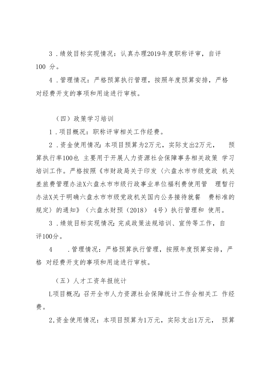 项目资金绩效自评报告.docx_第3页