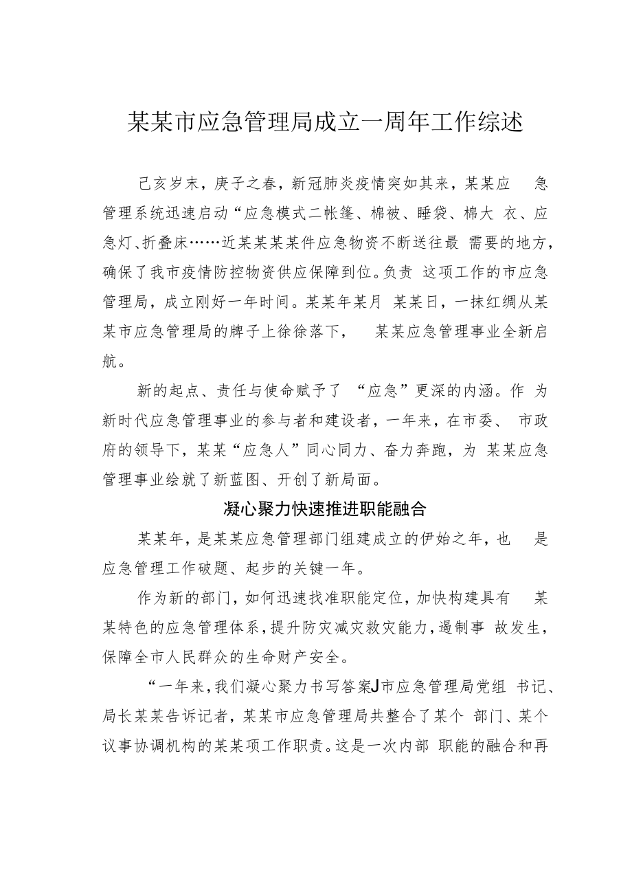 某某市应急管理局成立一周年工作综述.docx_第1页