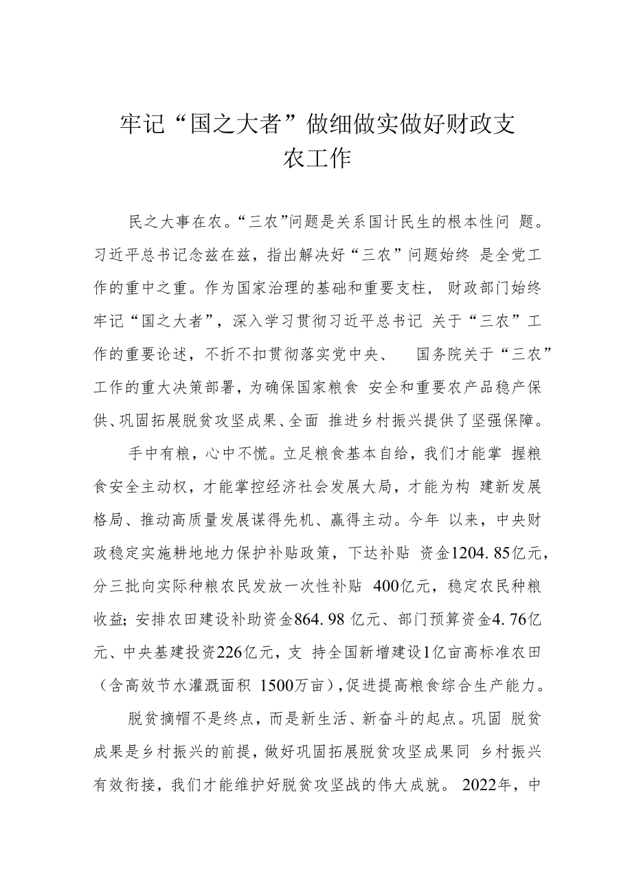 牢记“国之大者” 做细做实做好财政支农工作.docx_第1页