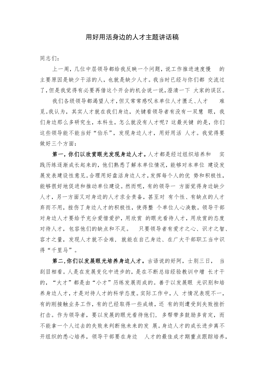 用好用活身边的人才主题讲话稿.docx_第1页