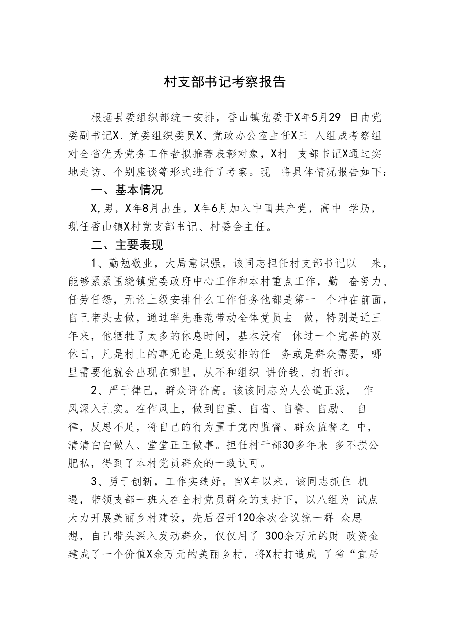 村支部书记考察报告.docx_第1页