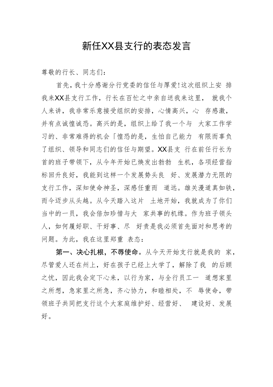 新任XX县支行的表态发言.docx_第1页