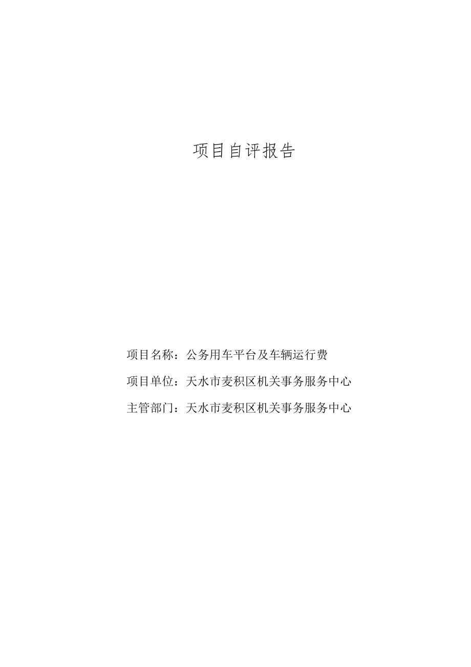 项目自评报告.docx_第1页