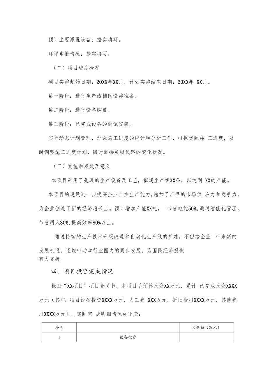 项目申报专项审计报告模板.docx_第3页