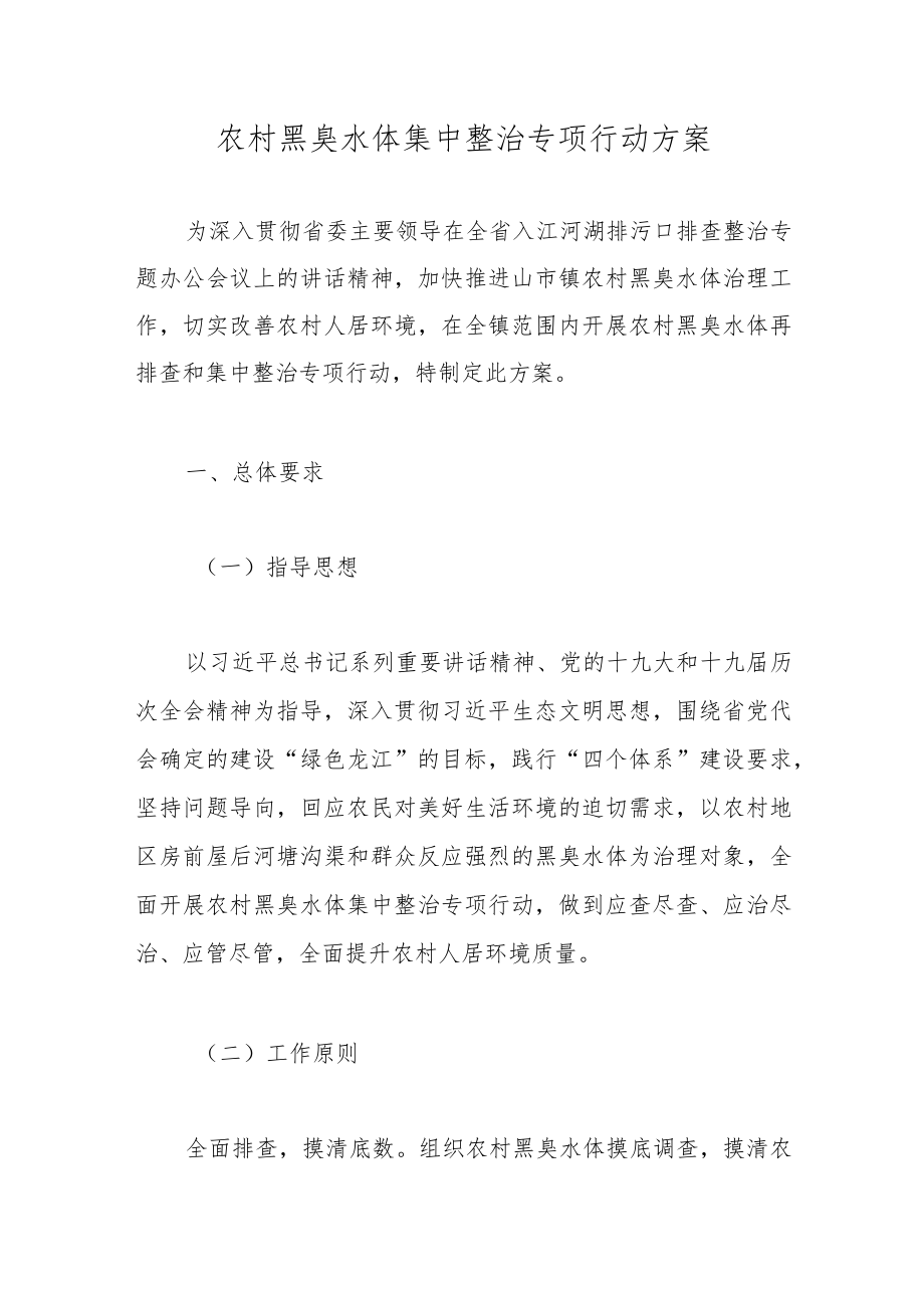 农村黑臭水体集中整治专项行动方案.docx_第1页