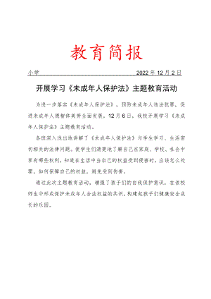 开展学习《未成年人保护法》主题教育活动.docx