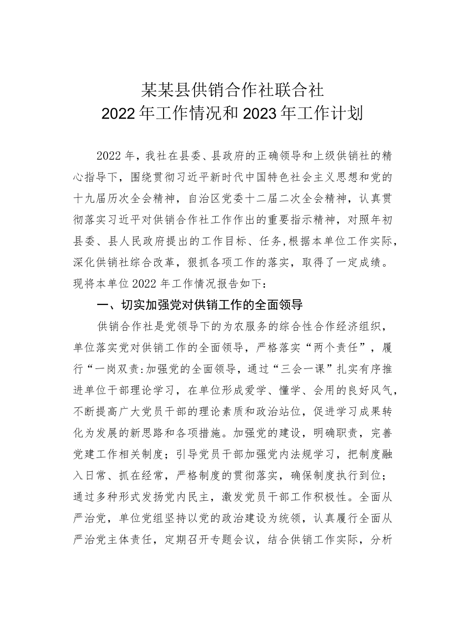 某某县供销合作社联合社2022年工作情况和2023年工作计划.docx_第1页