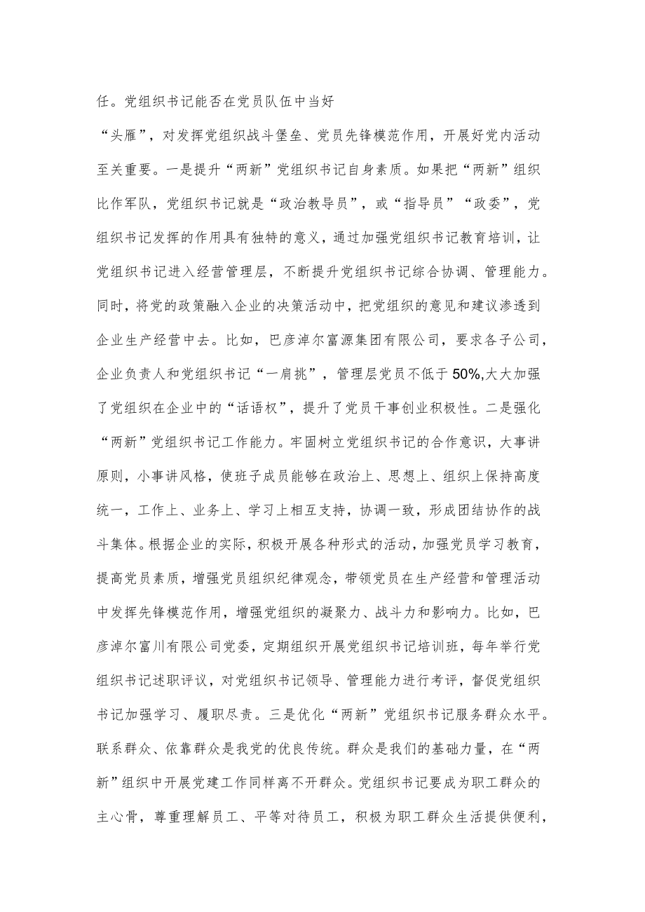 着力培育“两新”党组织书记心得体会发言稿.docx_第2页