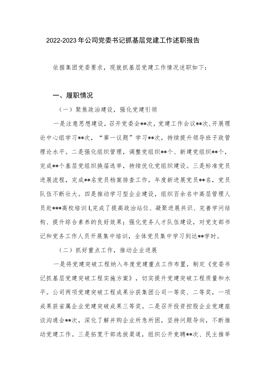 2022－2023年公司党委书记抓基层党建工作述职报告.docx_第1页