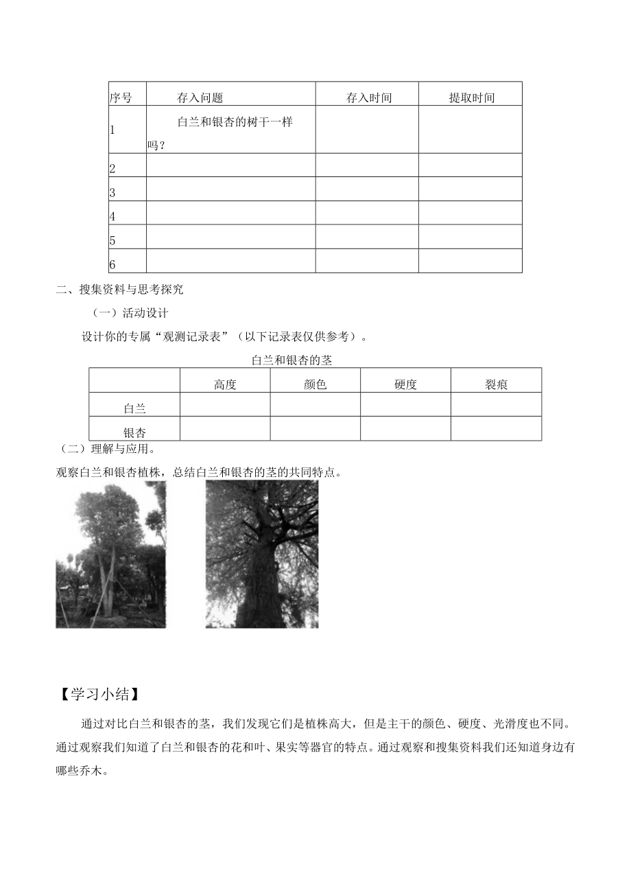 个人学案白兰和银杏.docx_第2页