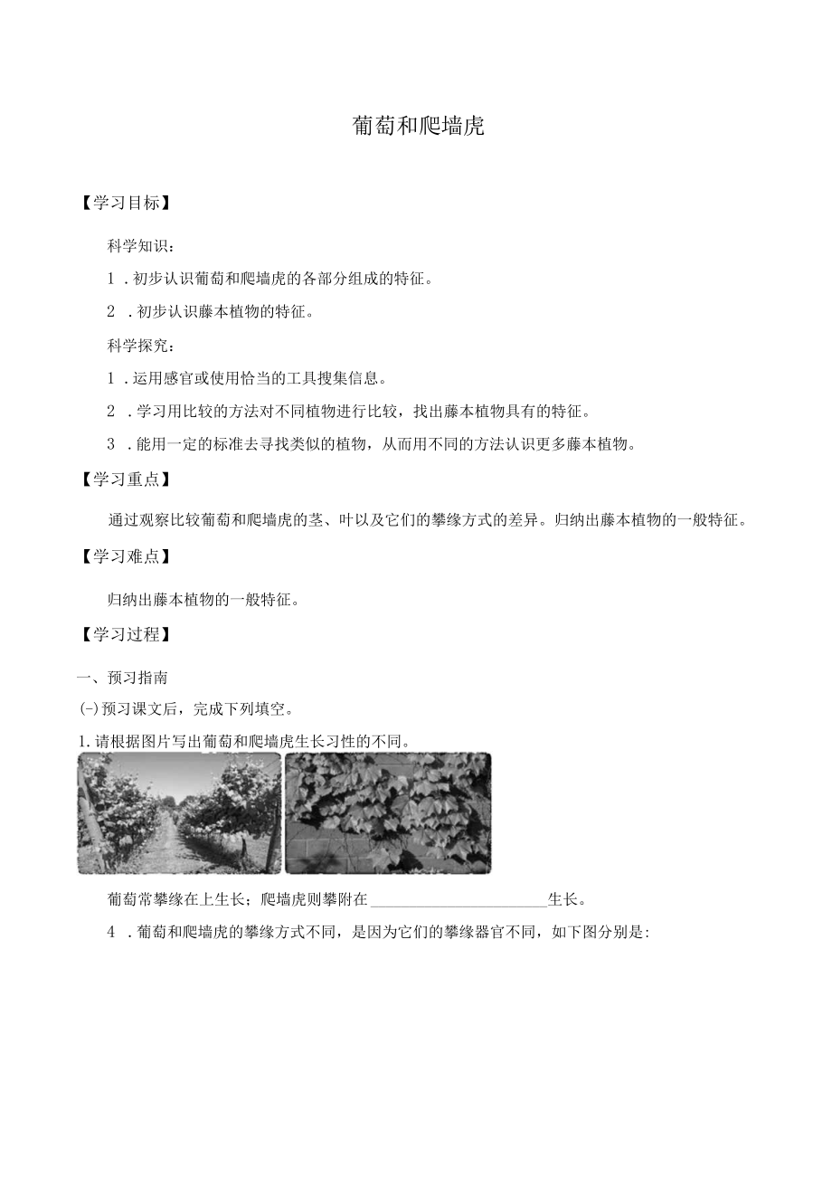 个人学案葡萄和爬墙虎.docx_第1页