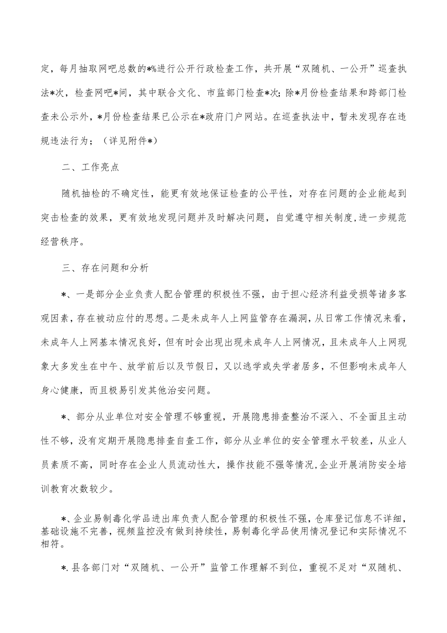 公安双随机一公开监管总结自查报告.docx_第2页