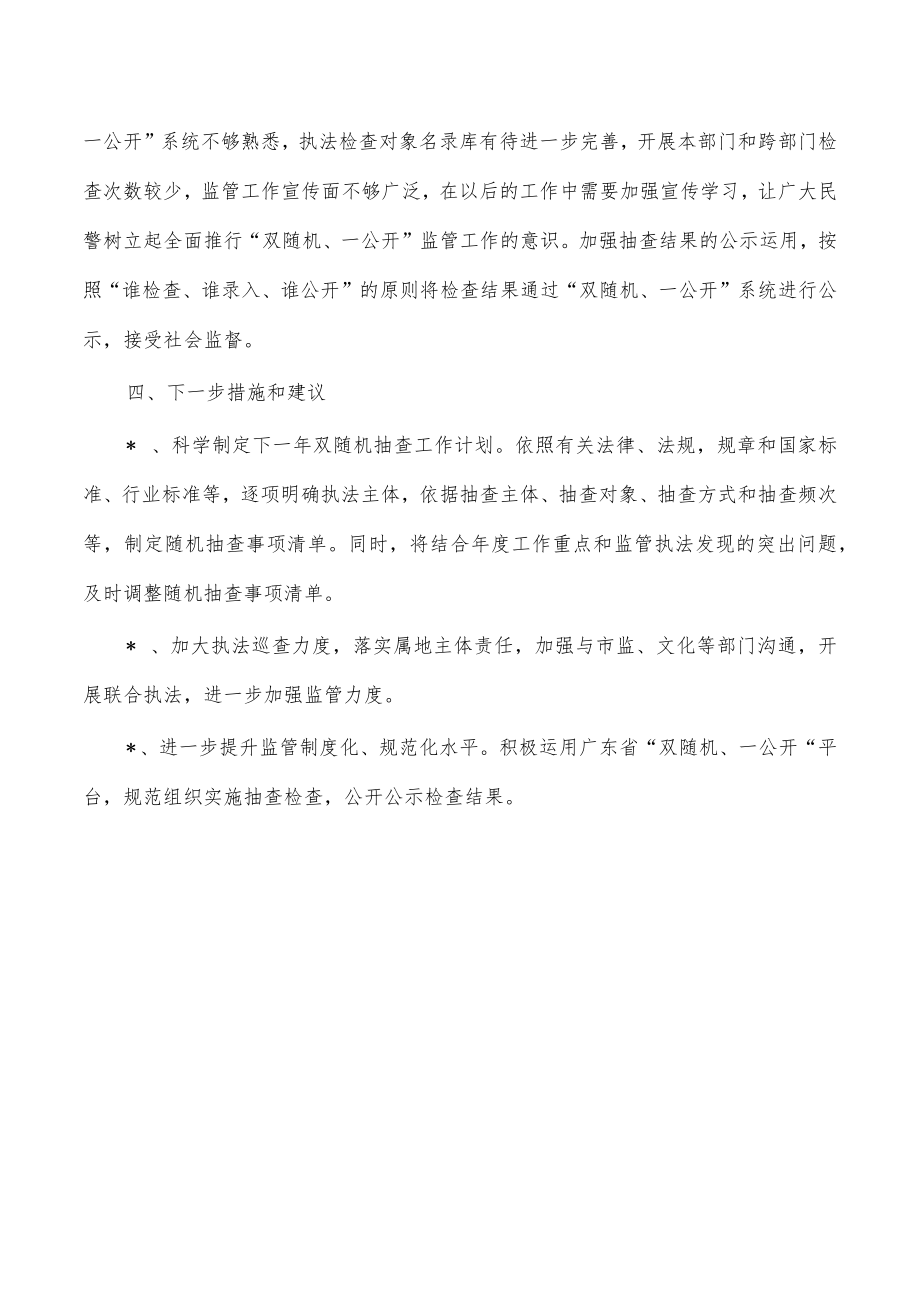 公安双随机一公开监管总结自查报告.docx_第3页