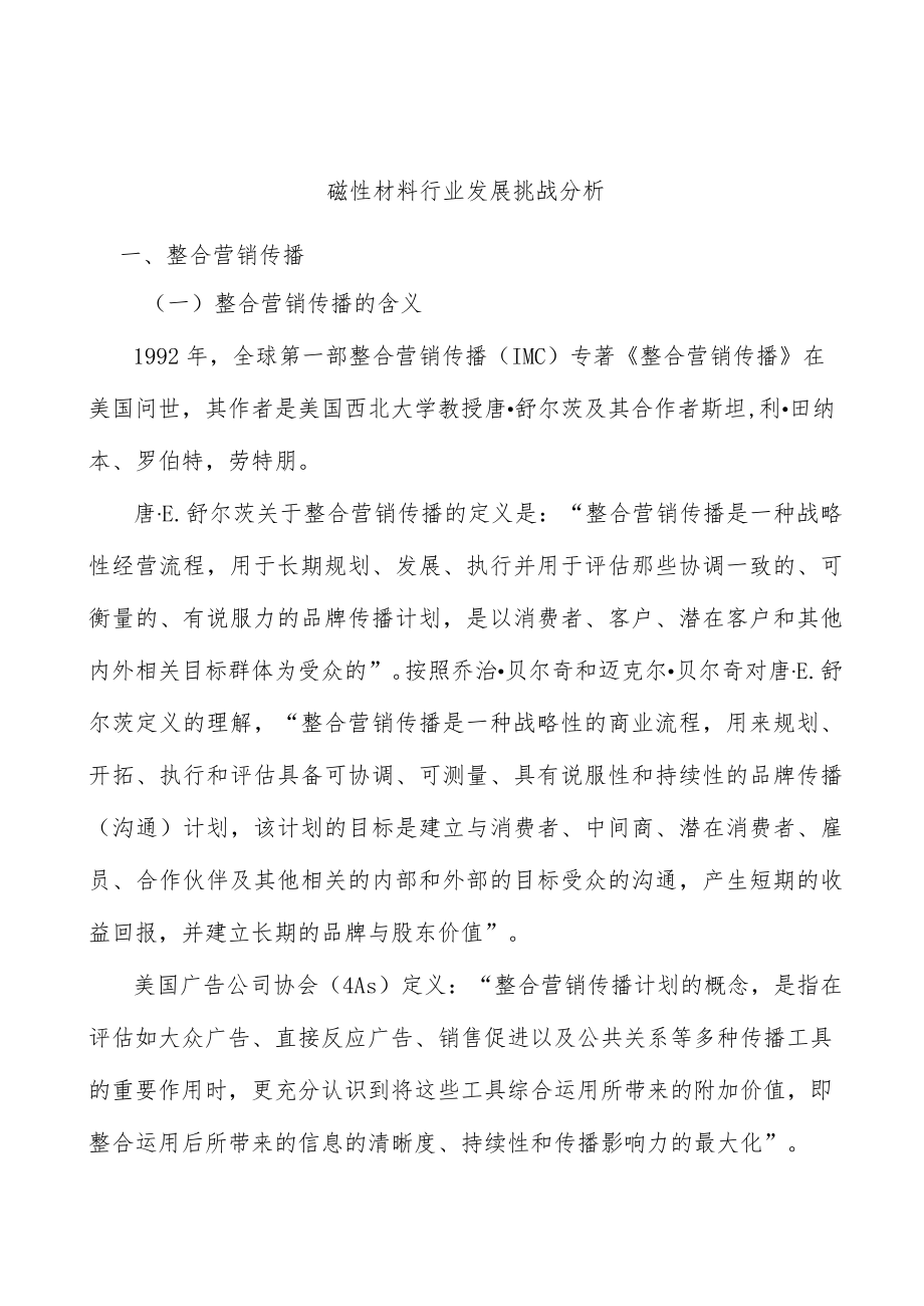 磁性材料行业发展挑战分析.docx_第1页