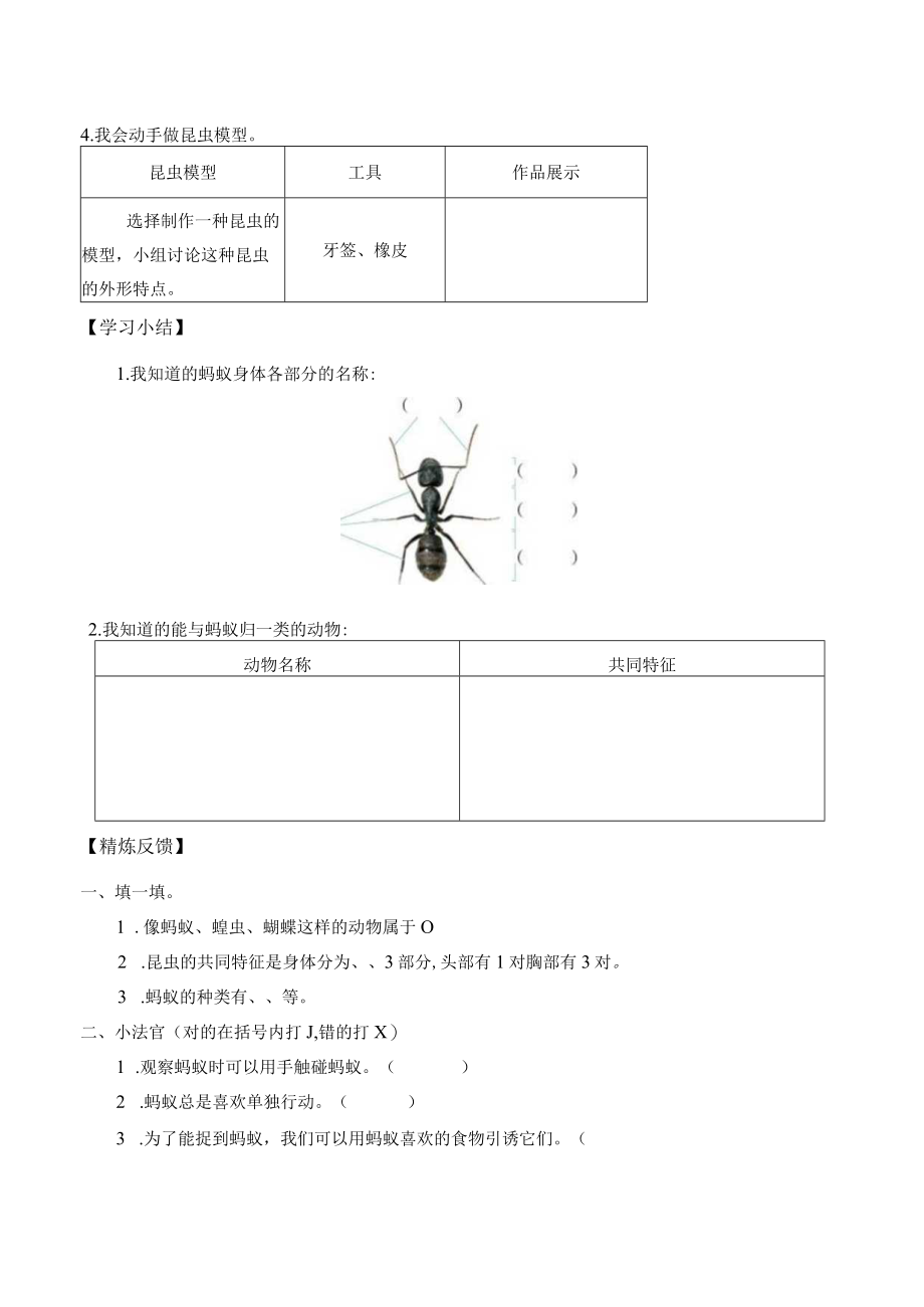 自编学案蚂蚁.docx_第3页