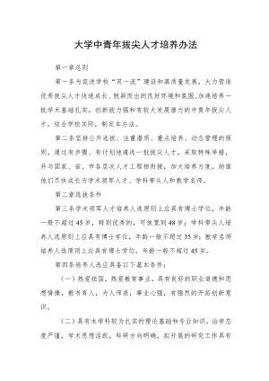 大学中青年拔尖人才培养办法.docx